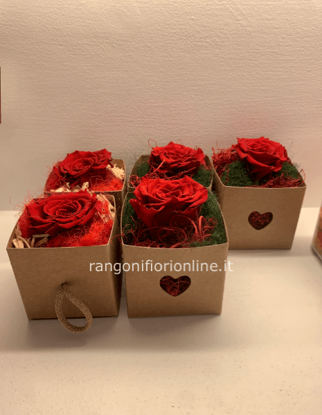 ROSA ROSSA IN SCATOLINA 