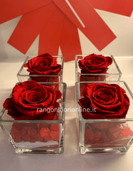 ROSA STABILIZZATA CUBO VETRO