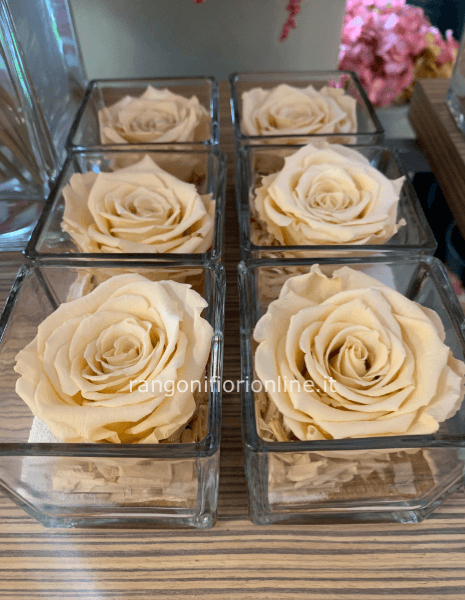 ROSA STABILIZZATA CUBO VETRO